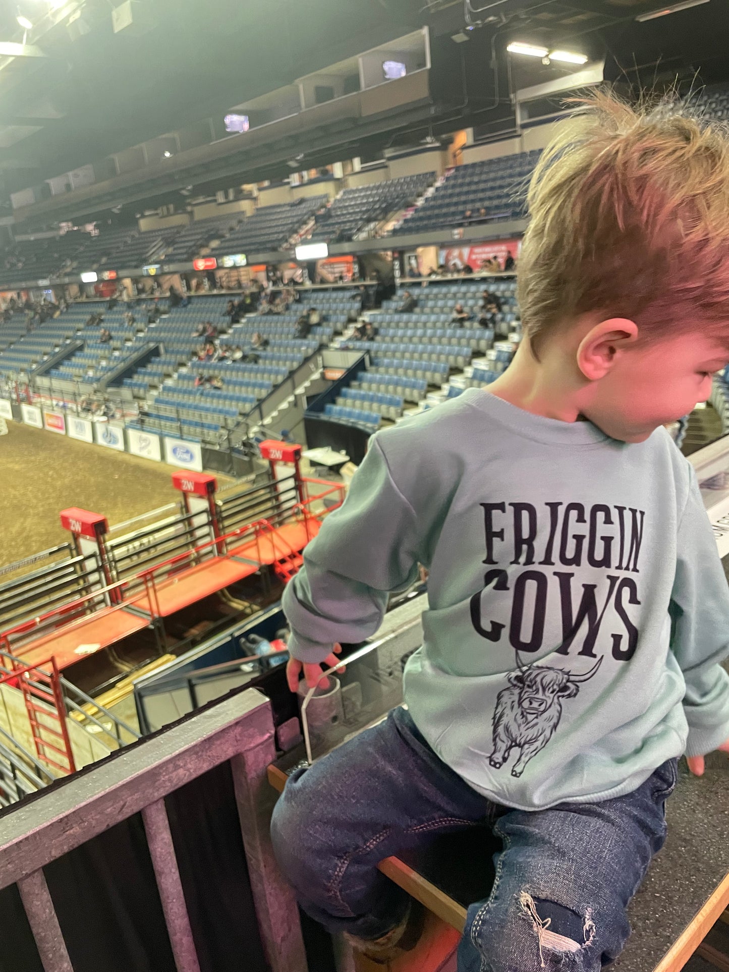 Friggin' Cows