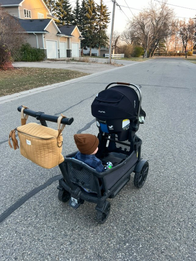 Stroller Caddy/Organizer