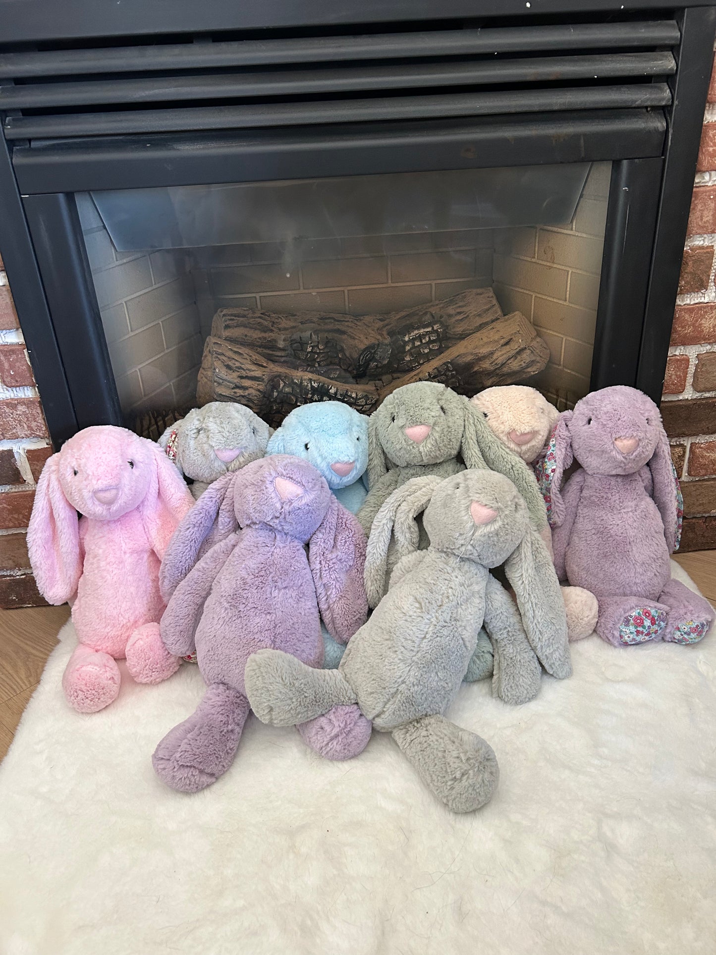 Soft Bunny Buddies