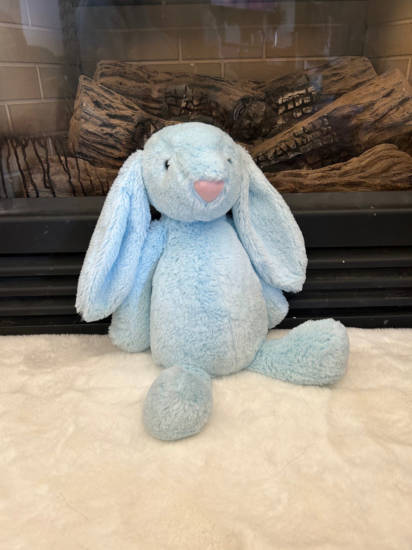 Soft Bunny Buddies