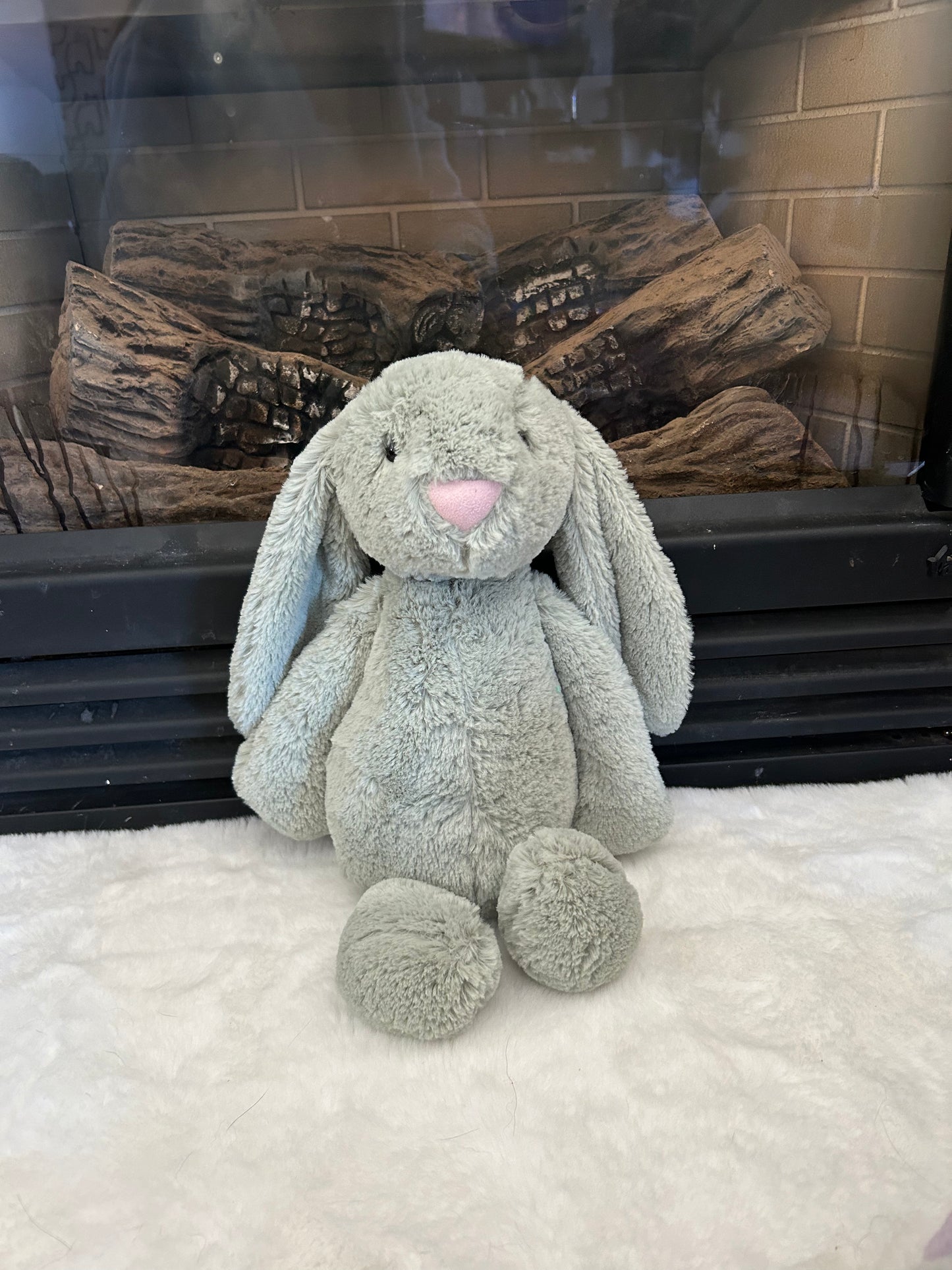 Soft Bunny Buddies