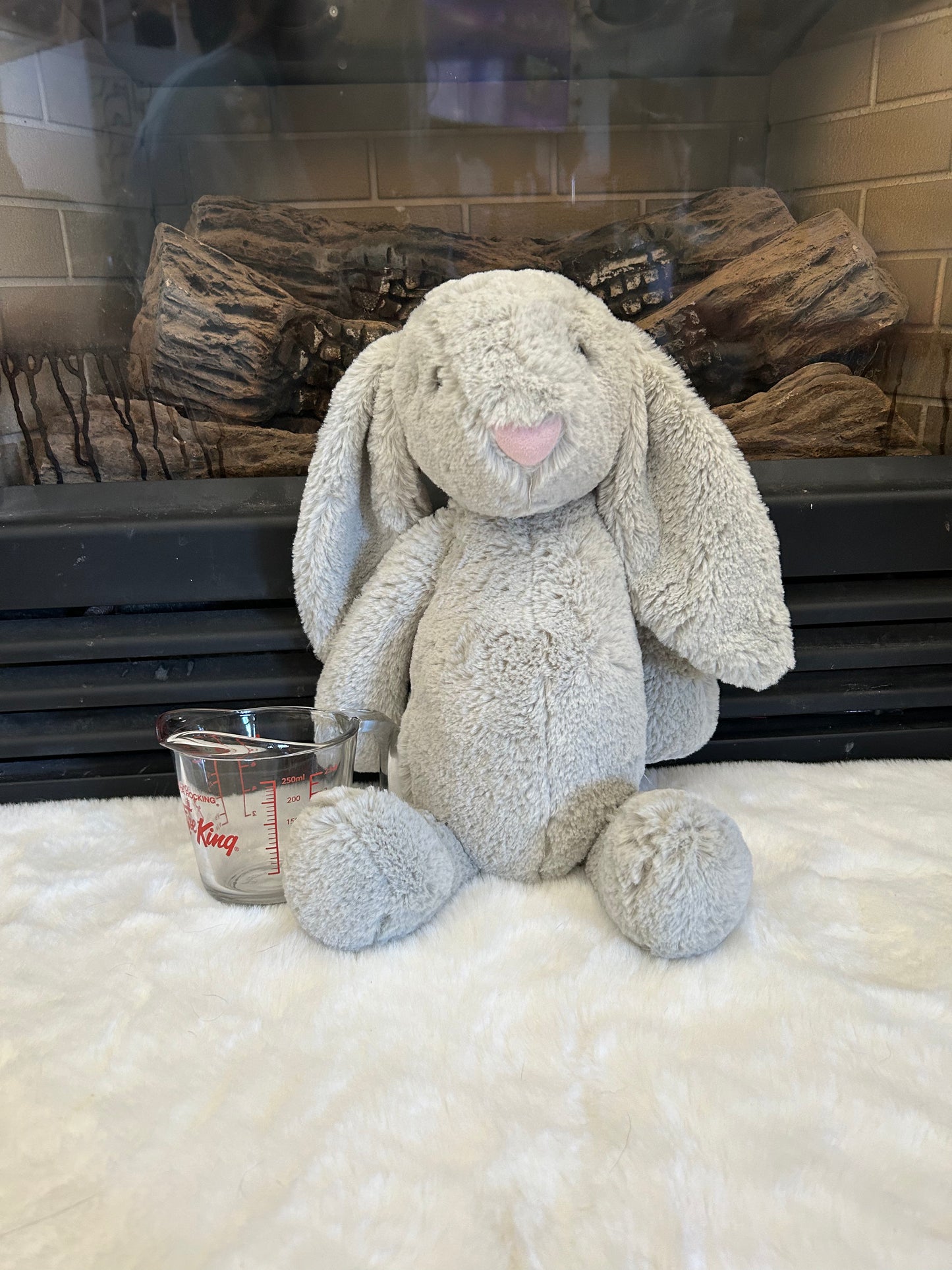 Soft Bunny Buddies