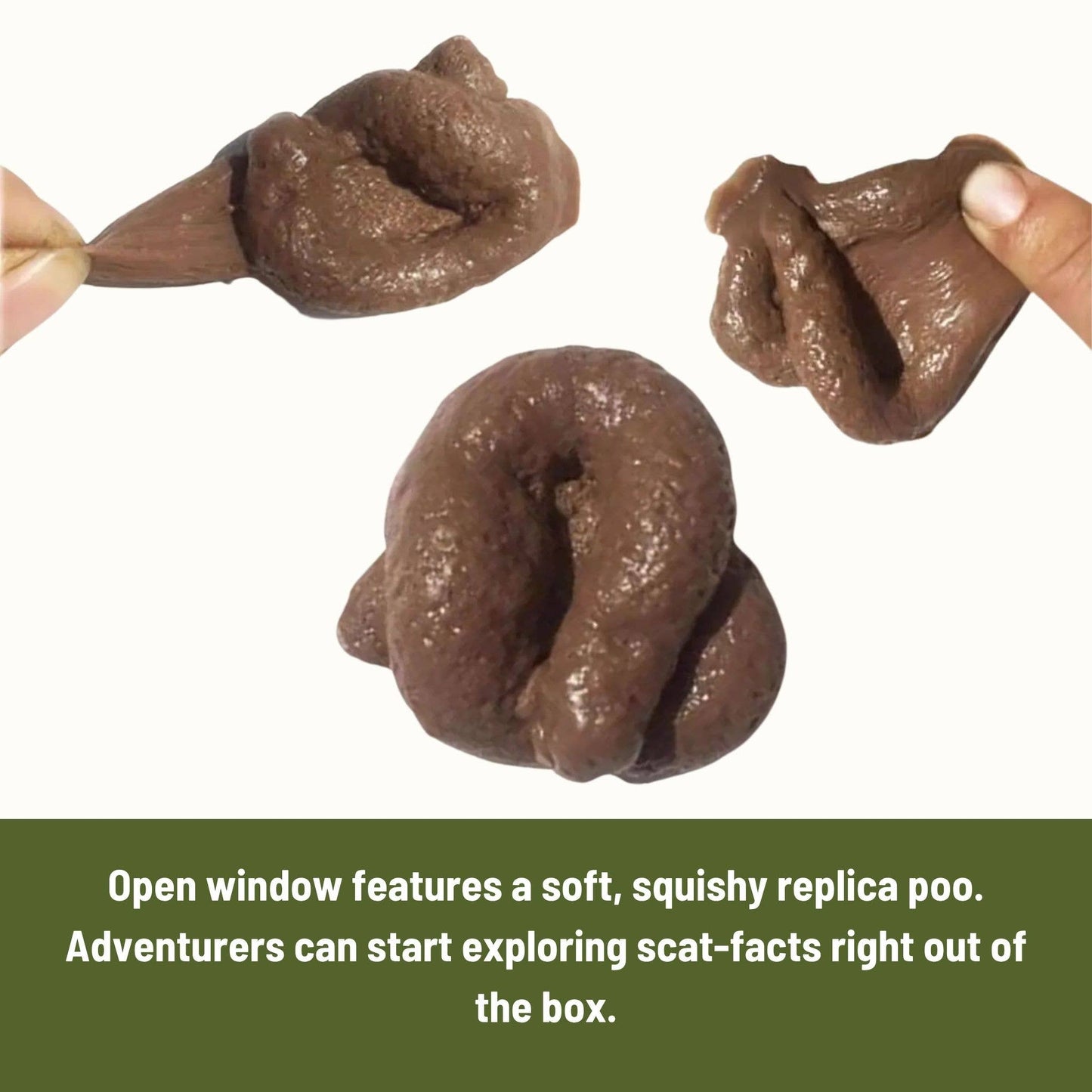 Kids Poo Clues