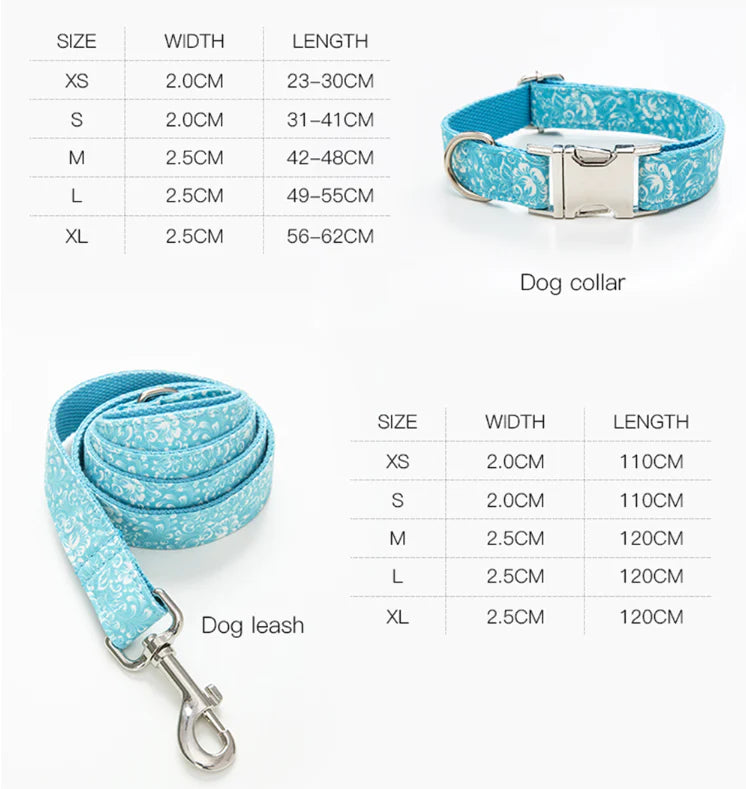 Custom dog collar and leash - PREORDER